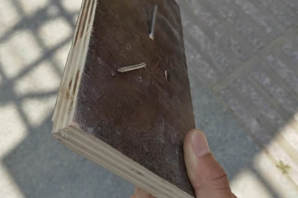 1581856783833534.jpg